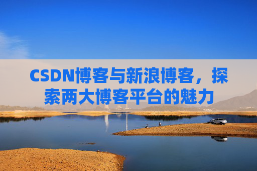 CSDN博客与新浪博客，探索两大博客平台的魅力